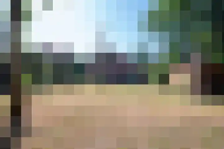 Duindoornlaan 16 Bentveld thumbnail 15