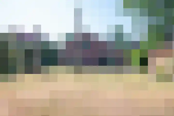 Duindoornlaan 16 Bentveld thumbnail 16