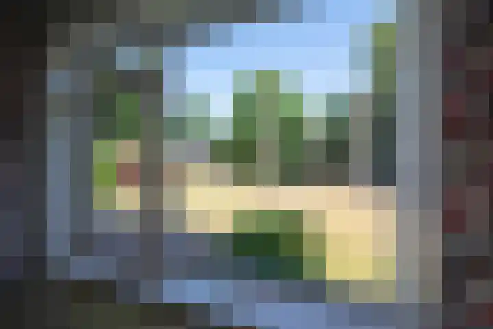 Duindoornlaan 16 Bentveld thumbnail 28