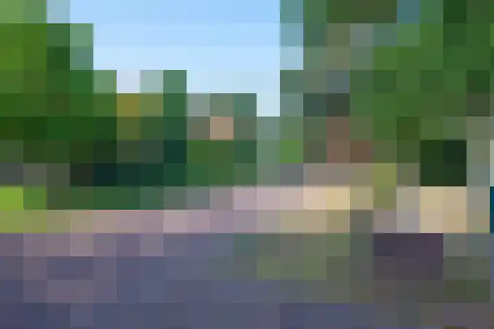Duindoornlaan 16 Bentveld thumbnail 47
