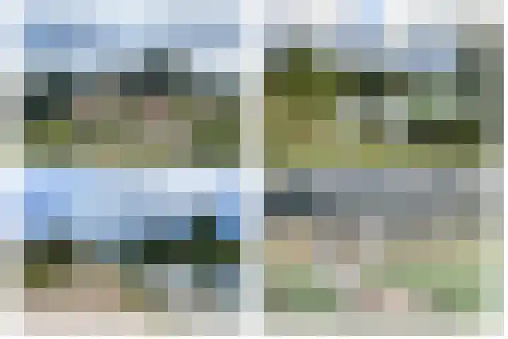 Duindoornlaan 16 Bentveld thumbnail 49