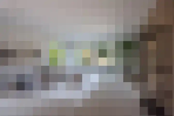 Duindoornlaan 16 Bentveld thumbnail 5