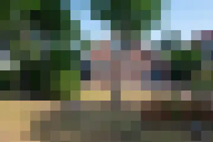 Duindoornlaan 16 Bentveld thumbnail 8