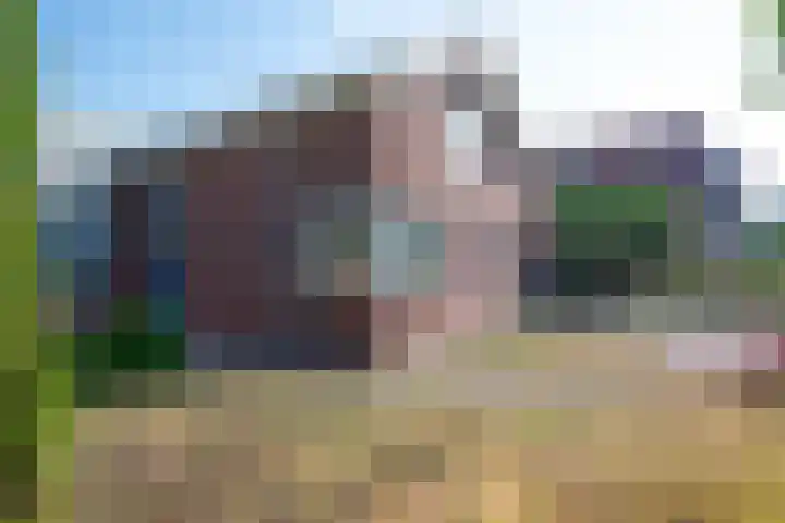 Duindoornlaan 16 Bentveld thumbnail 9