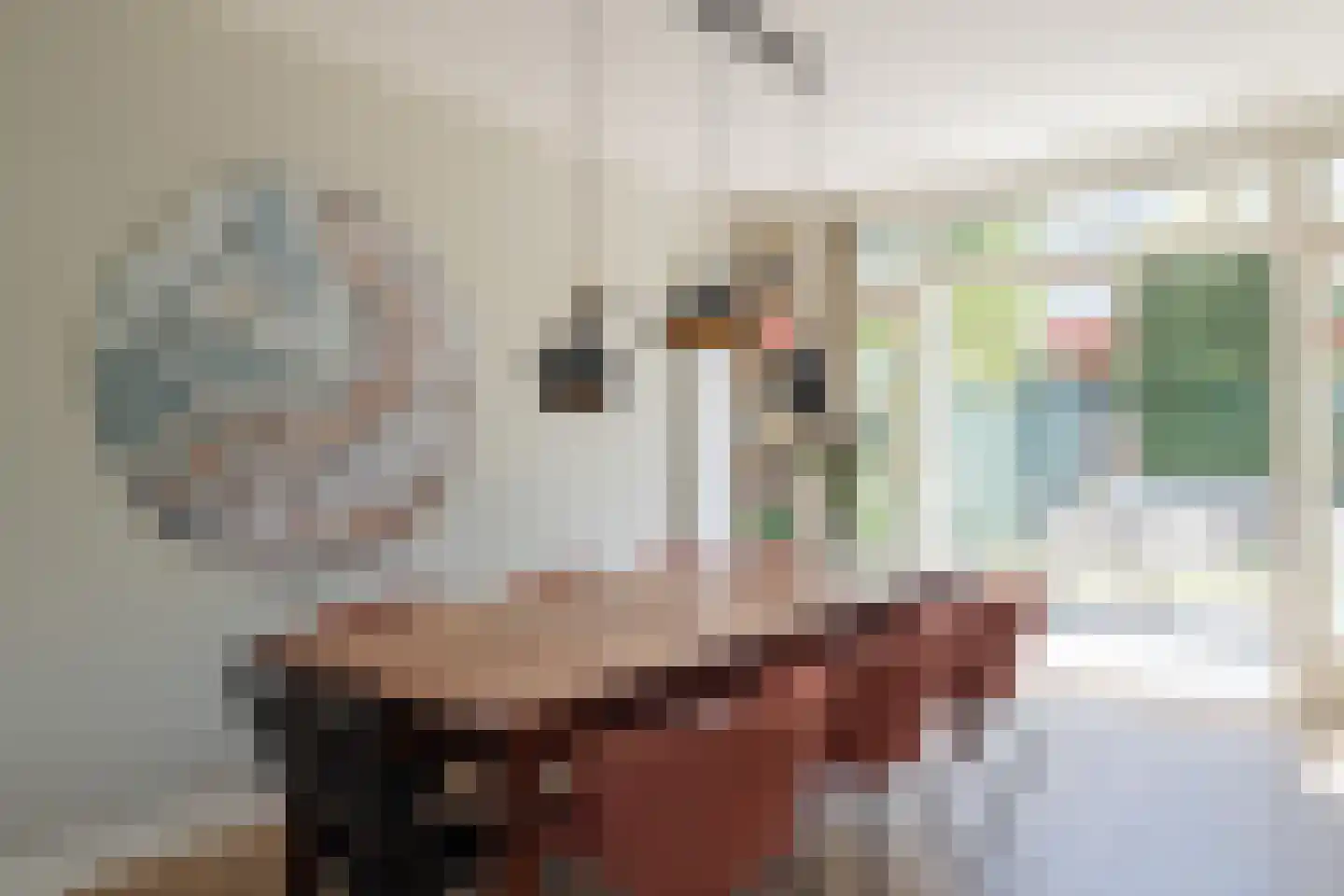 Duindoornlaan 16 Haarlem thumbnail 16