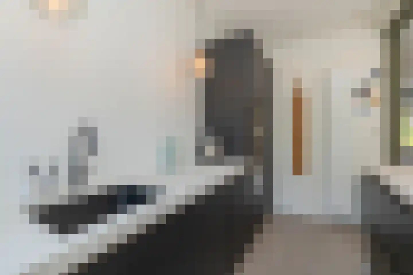 Duindoornlaan 16 Haarlem thumbnail 20