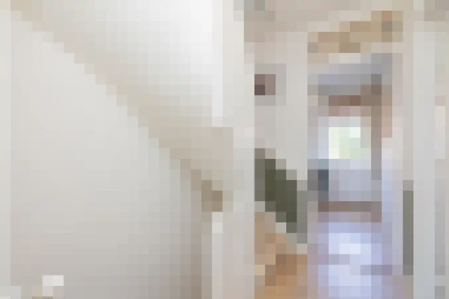 Duindoornlaan 16 Haarlem thumbnail 34