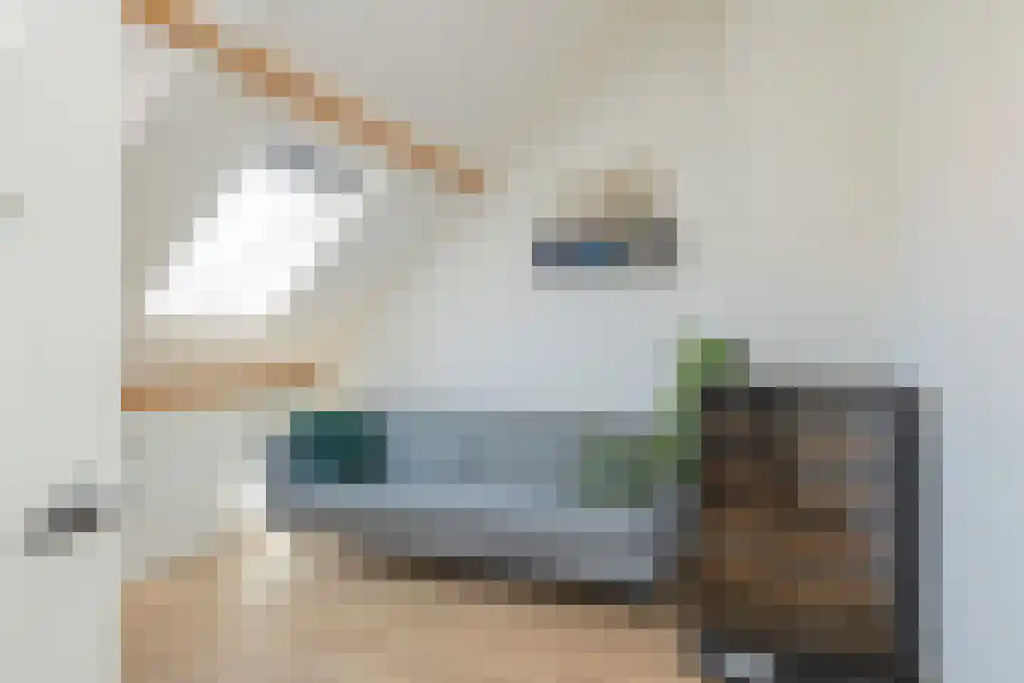 Duindoornlaan 16 Haarlem thumbnail 48