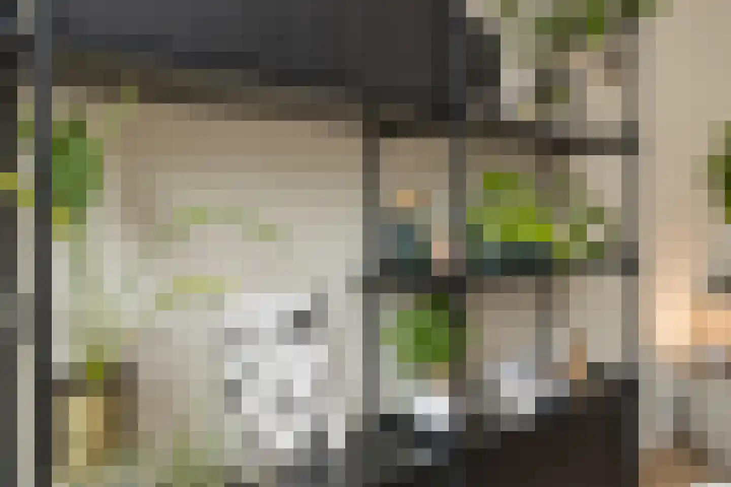 Duindoornlaan 22 Haarlem thumbnail 22