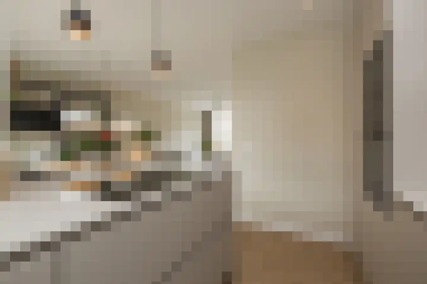 Duindoornlaan 22 Haarlem thumbnail 27