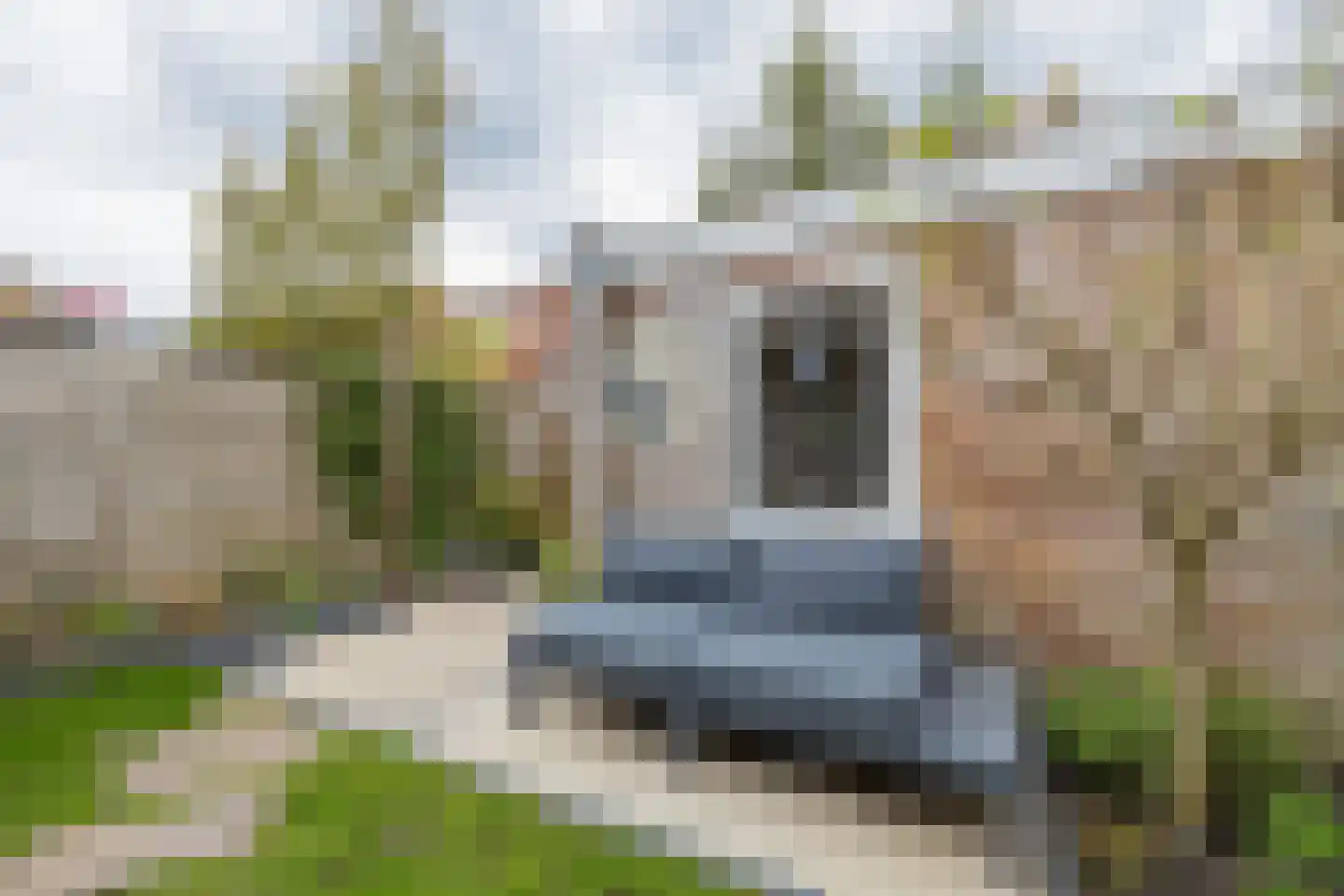 Duindoornlaan 22 Haarlem thumbnail 32