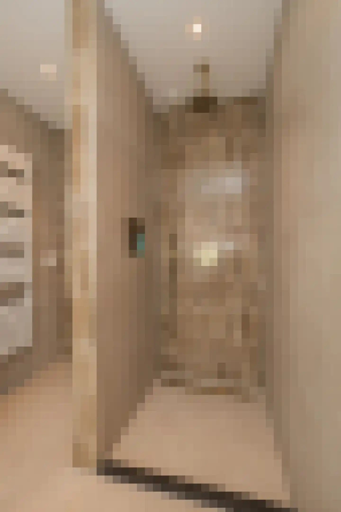 Duindoornlaan 22 Haarlem thumbnail 38