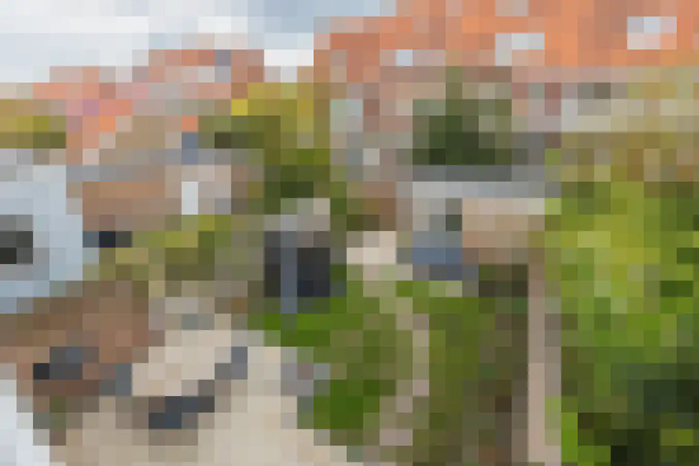 Duindoornlaan 22 Haarlem thumbnail 4
