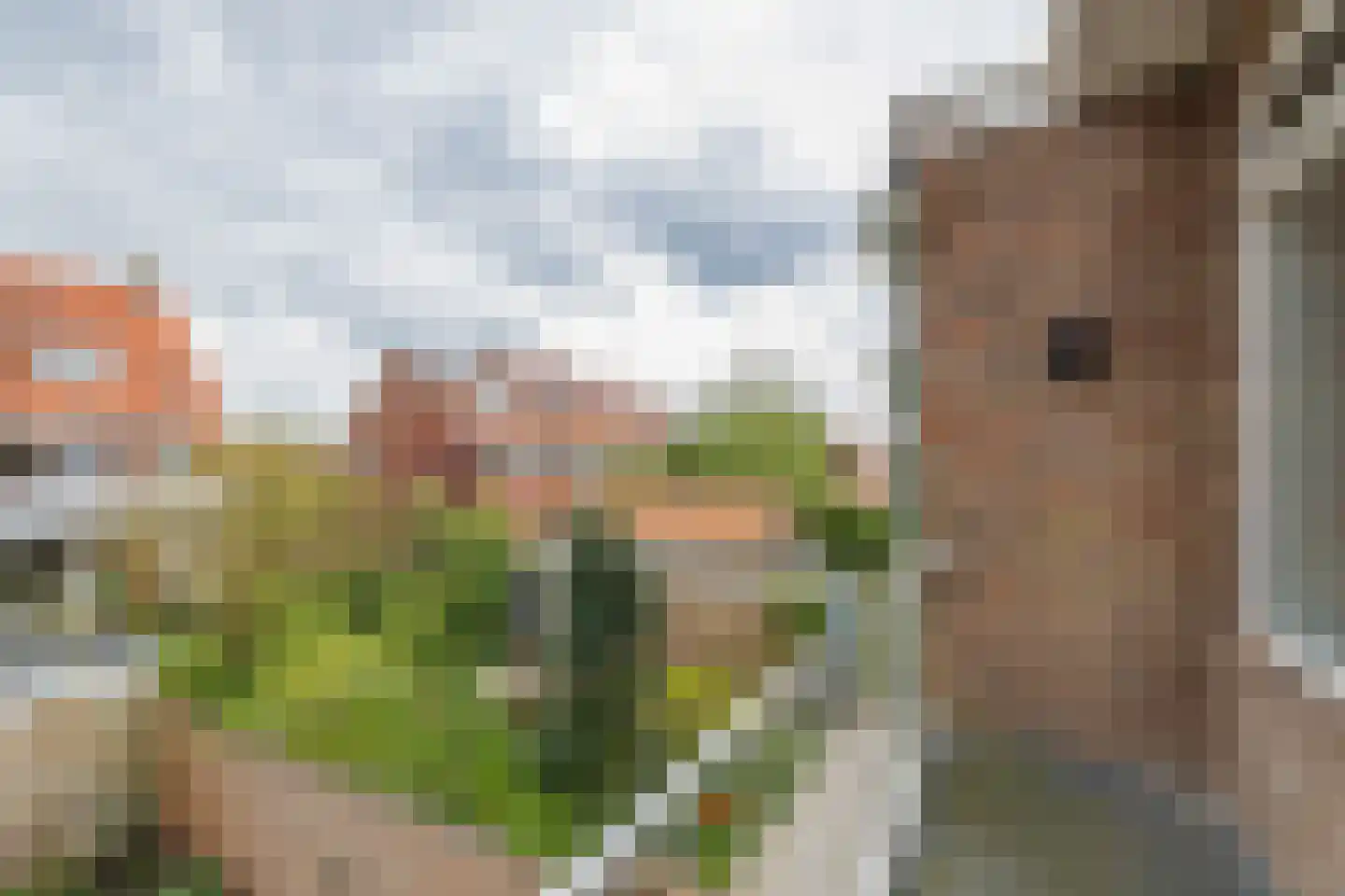 Duindoornlaan 22 Haarlem thumbnail 43