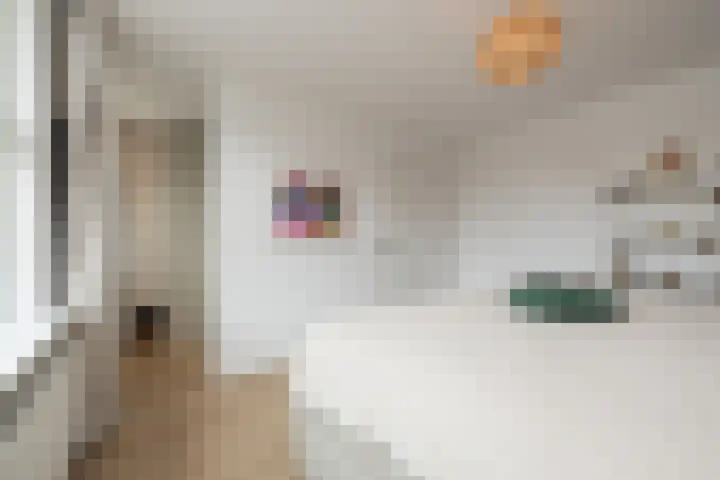 Duindoornlaan 22 Haarlem thumbnail 47