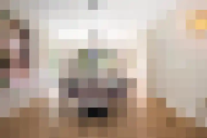 Duindoornlaan 6 Bentveld thumbnail 12