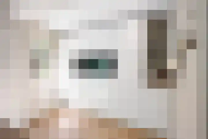 Duindoornlaan 6 Bentveld thumbnail 15