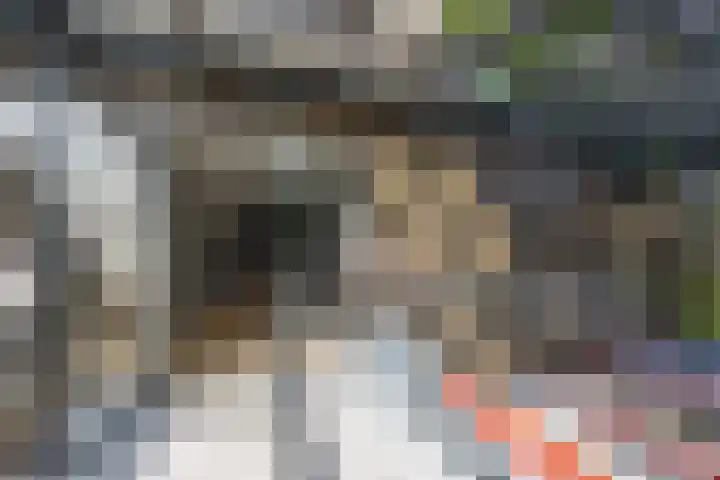 Duindoornlaan 6 Bentveld thumbnail 20