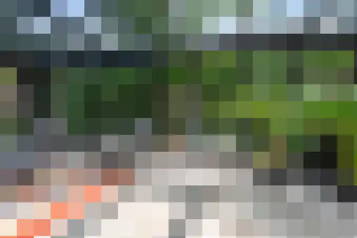 Duindoornlaan 6 Bentveld thumbnail 22