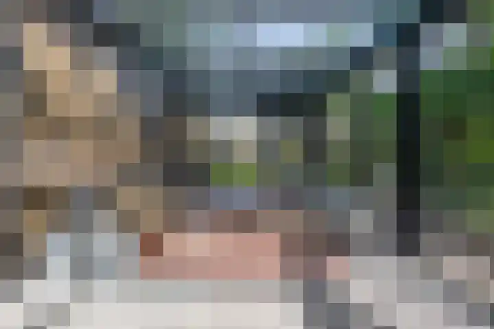 Duindoornlaan 6 Bentveld thumbnail 23