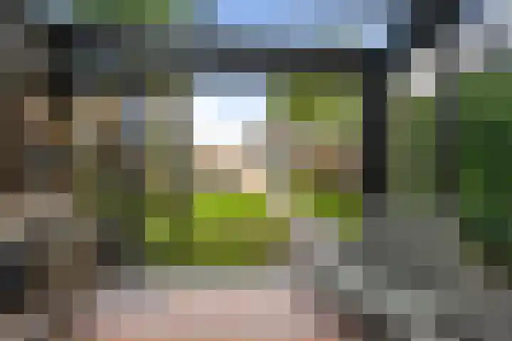 Duindoornlaan 6 Bentveld thumbnail 24