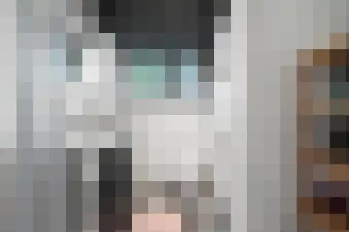 Duindoornlaan 6 Bentveld thumbnail 42