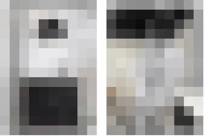 Duindoornlaan 6 Bentveld thumbnail 43