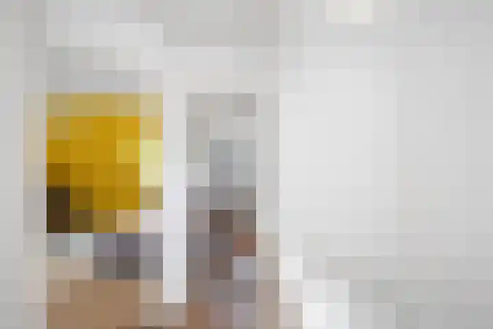 Duindoornlaan 6 Bentveld thumbnail 48