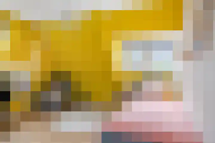 Duindoornlaan 6 Bentveld thumbnail 49