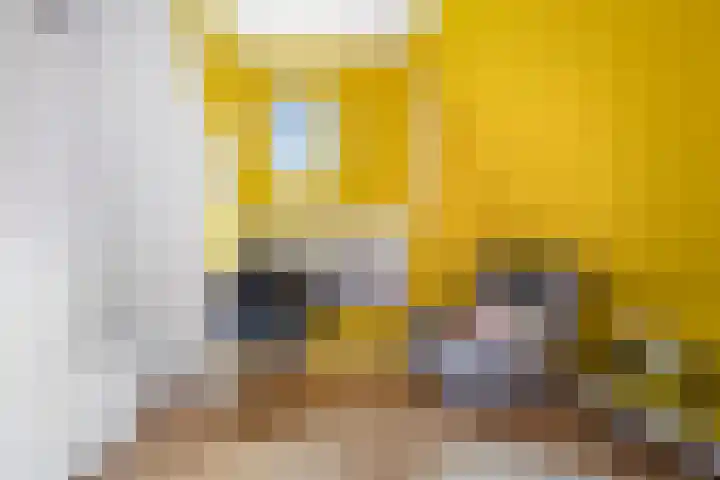 Duindoornlaan 6 Bentveld thumbnail 50