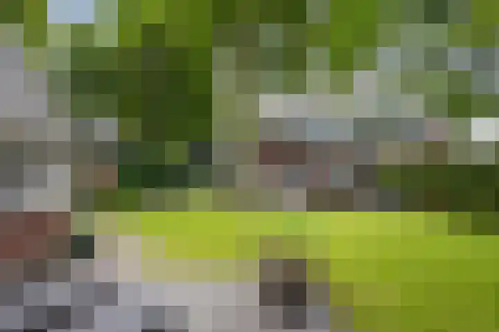 Duindoornlaan 6 Bentveld thumbnail 54