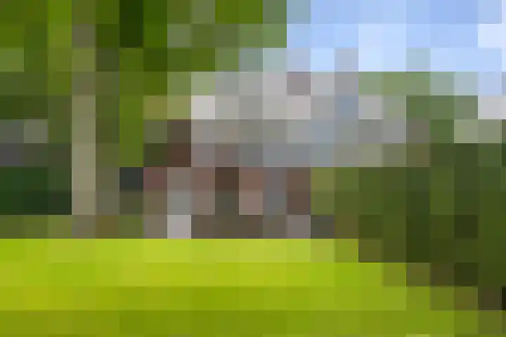 Duindoornlaan 6 Bentveld thumbnail 55