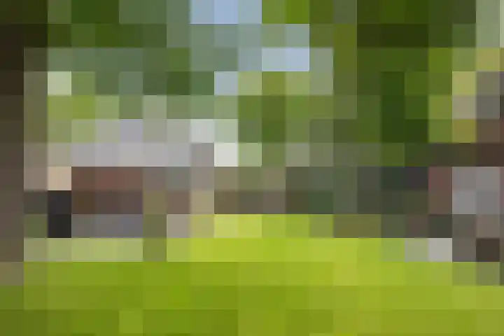 Duindoornlaan 6 Bentveld thumbnail 56