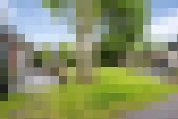 Duindoornlaan 6 Bentveld thumbnail 57