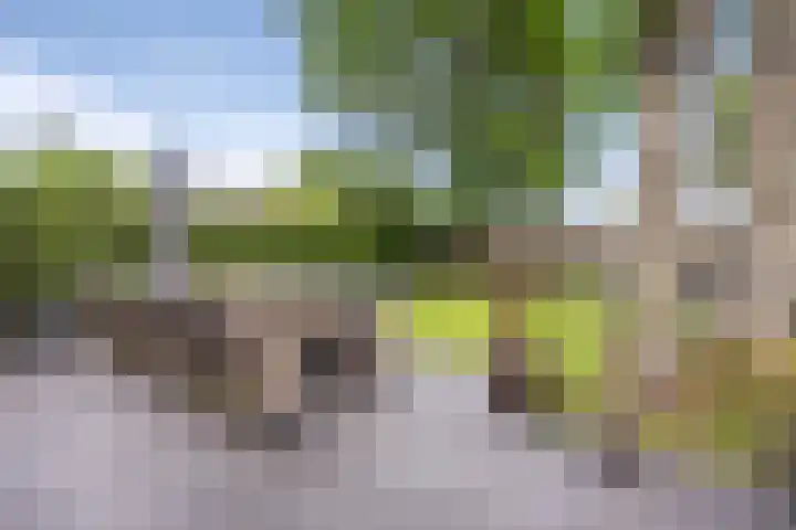 Duindoornlaan 6 Bentveld thumbnail 58