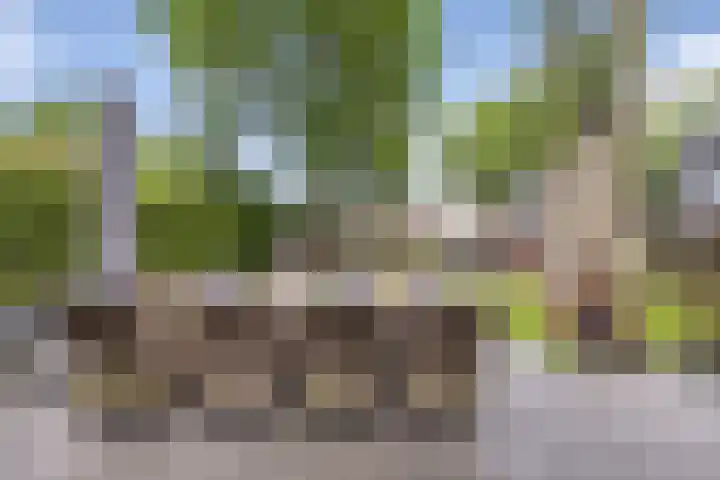 Duindoornlaan 6 Bentveld thumbnail 59