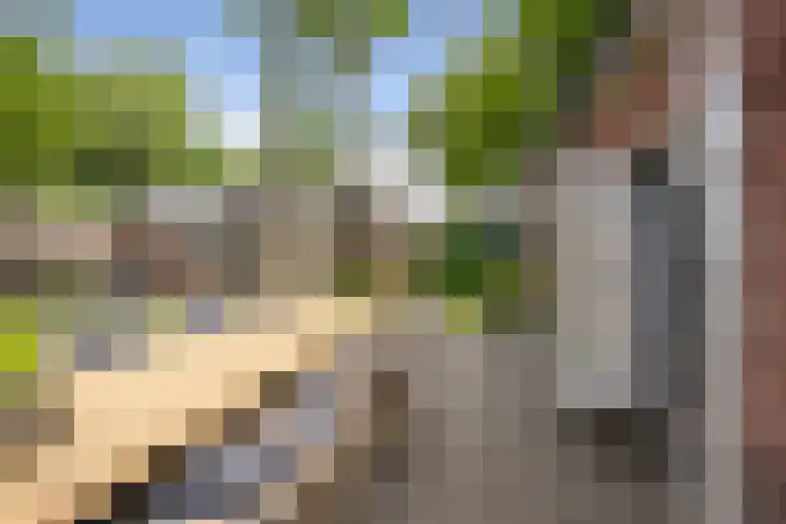 Duindoornlaan 6 Bentveld thumbnail 60