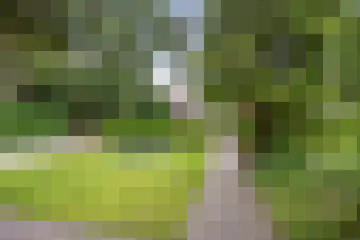 Duindoornlaan 6 Bentveld thumbnail 64