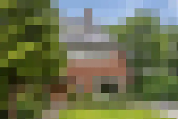 Duindoornlaan 6 Bentveld thumbnail 65