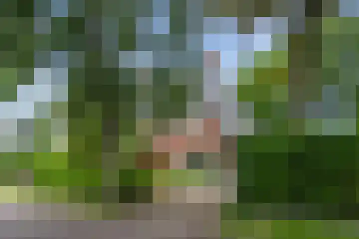 Duindoornlaan 6 Bentveld thumbnail 66