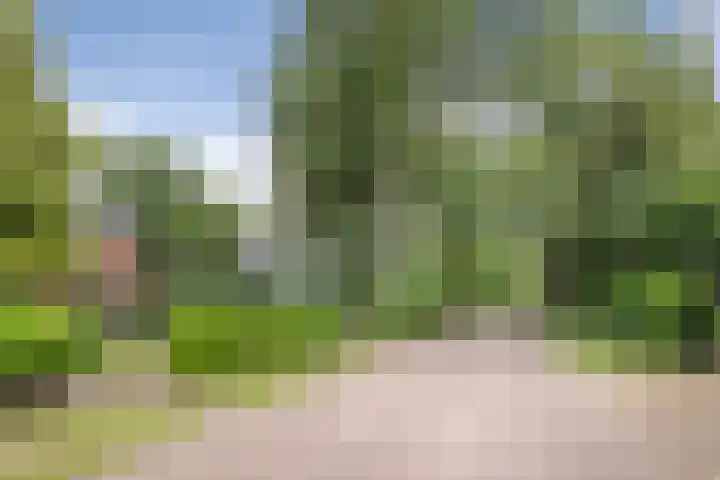 Duindoornlaan 6 Bentveld thumbnail 67