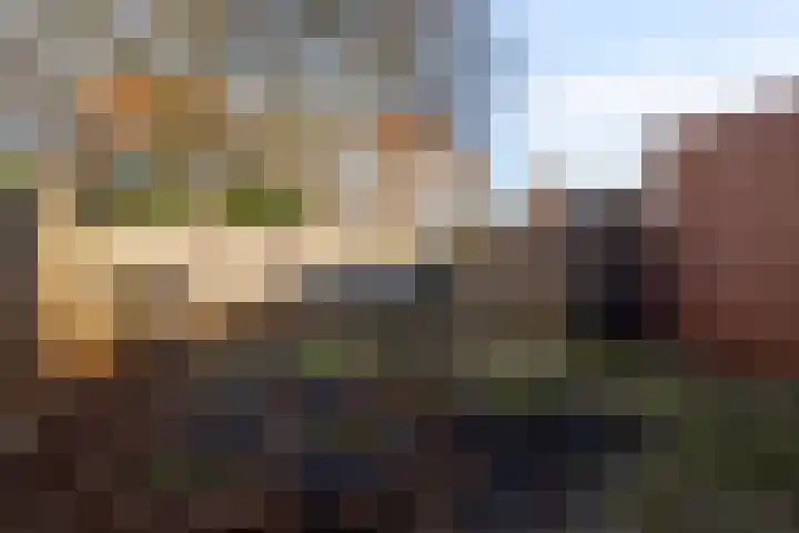 Duindoornplein 12 Amsterdam thumbnail 16