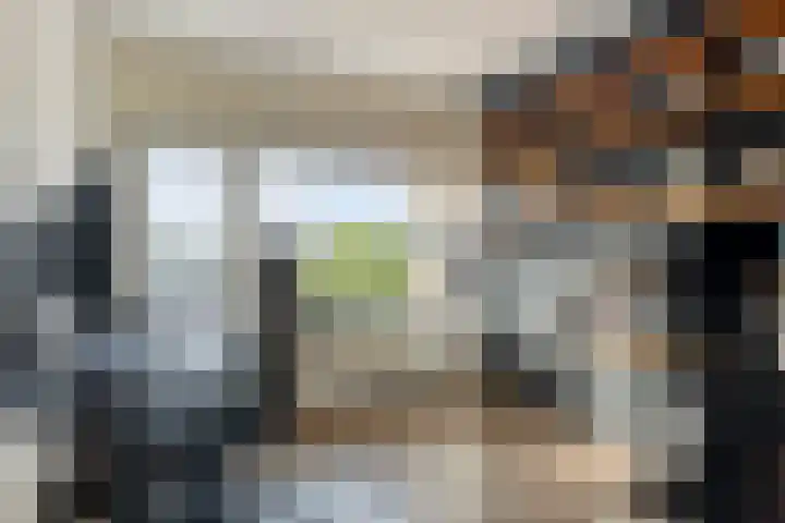 Duindoornstraat 11 Groningen thumbnail 21