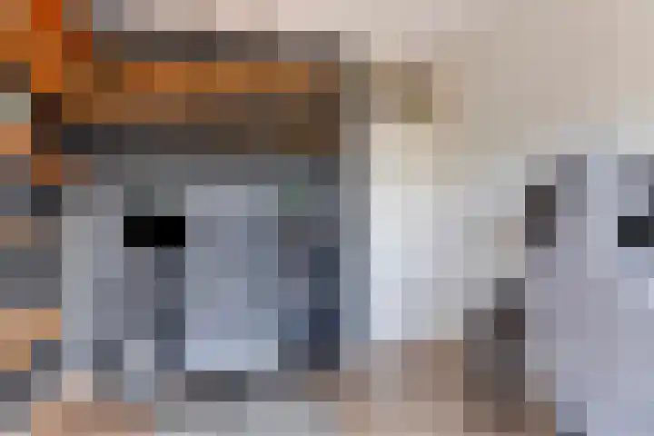 Duindoornstraat 11 Groningen thumbnail 22
