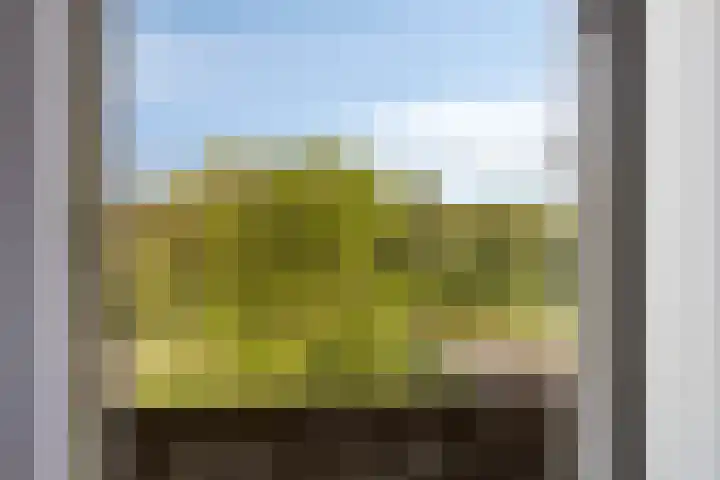Duindoornstraat 11 Groningen thumbnail 30
