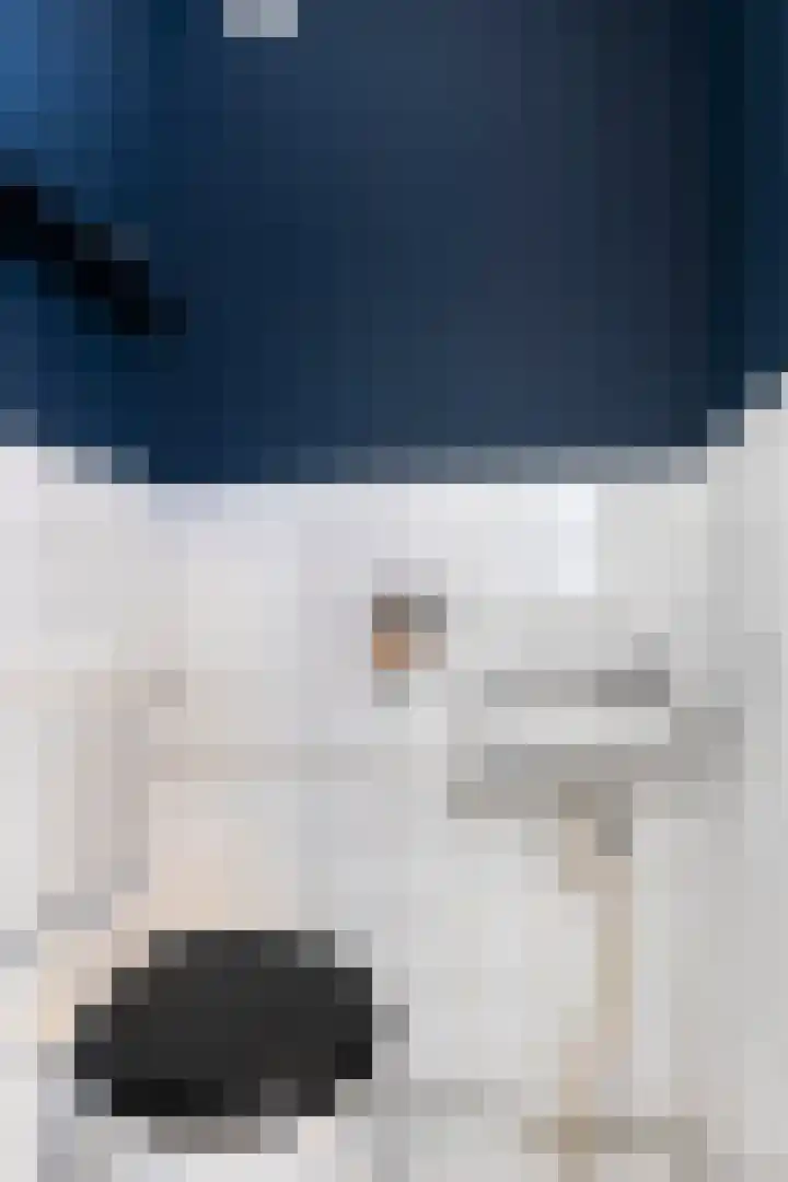 Duindoornstraat 11 Groningen thumbnail 9