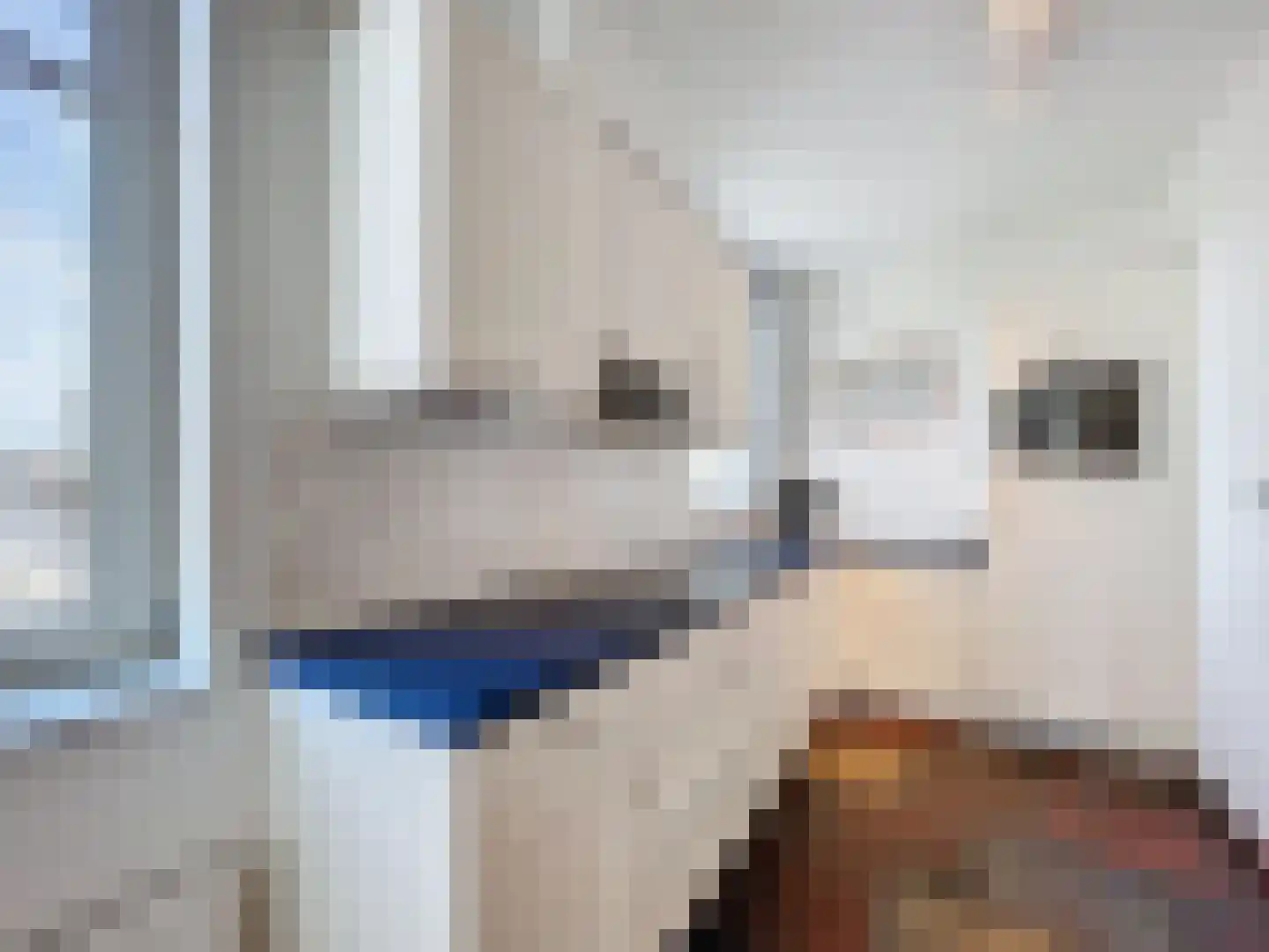 Duindoornstraat 2 Cadzand thumbnail 11