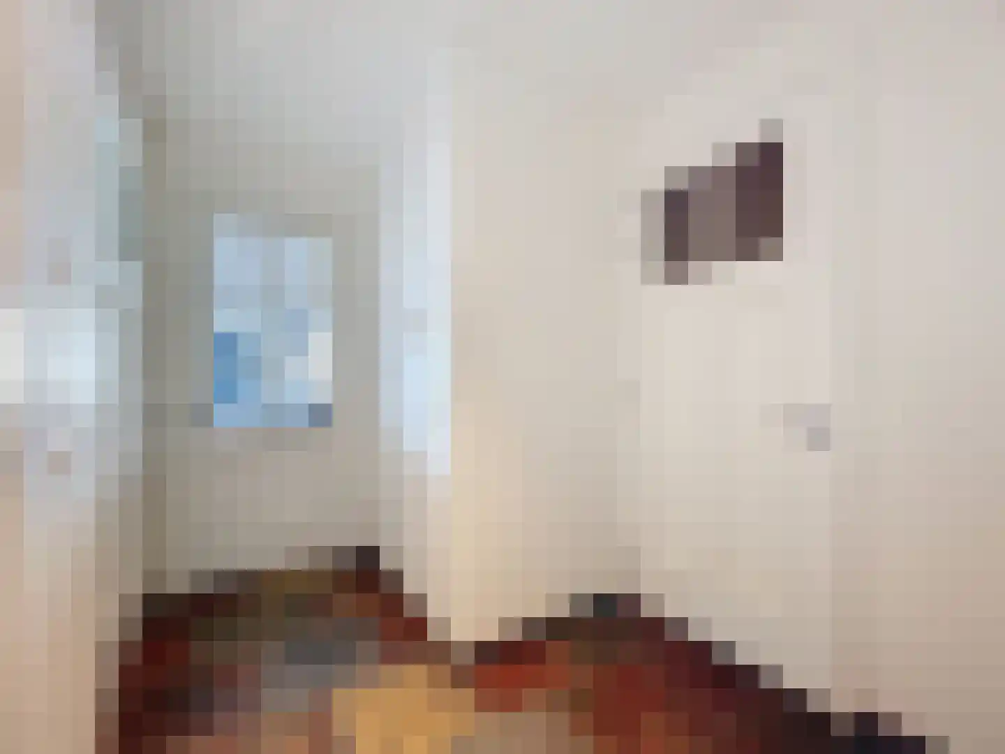 Duindoornstraat 2 Cadzand thumbnail 4