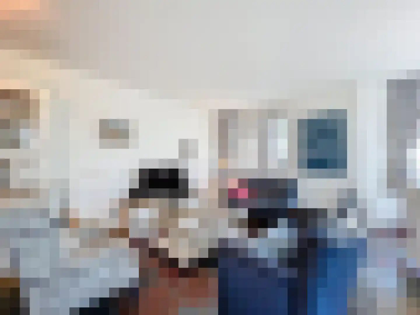 Duindoornstraat 2 Cadzand thumbnail 7