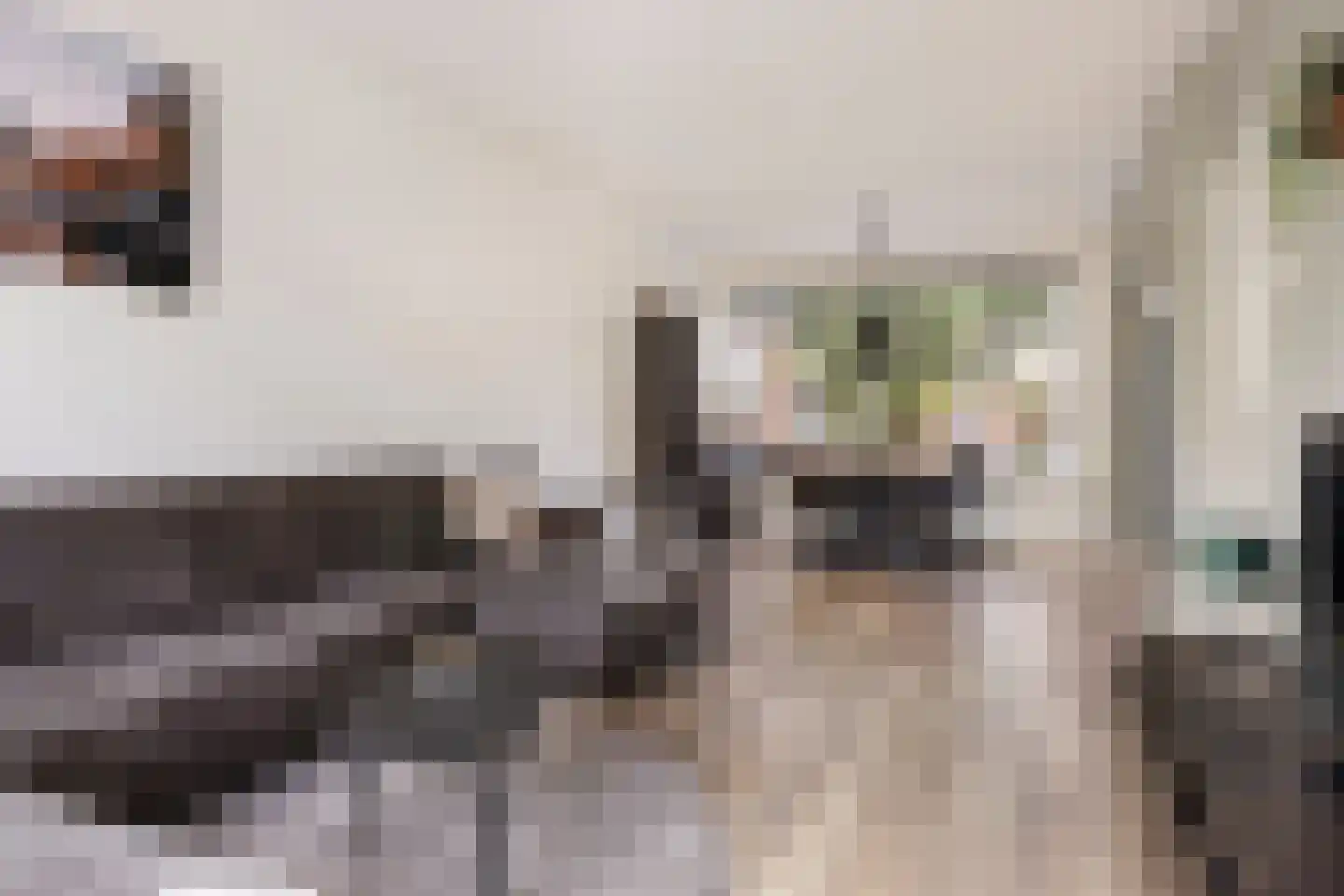Duindoornstraat 24 Groningen thumbnail 12